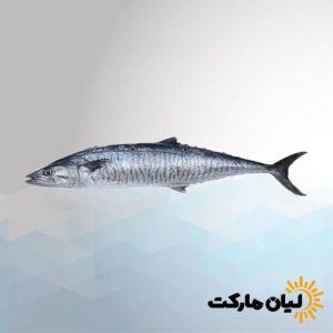 خرید ماهی شیر تازه