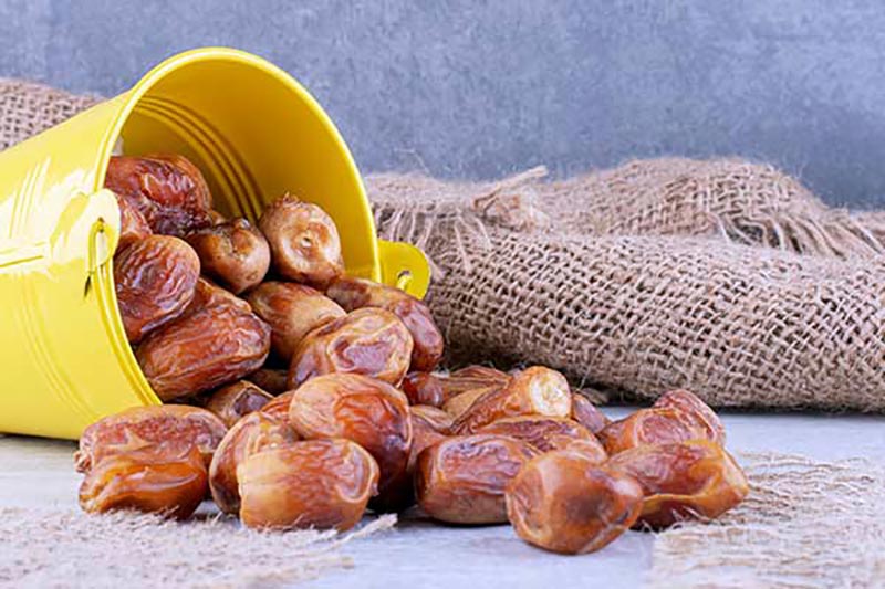 خرمای زاهدی