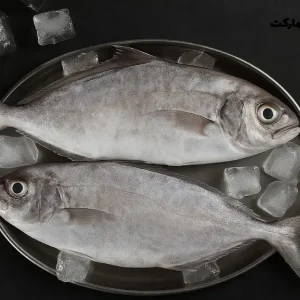 ماهی حمام