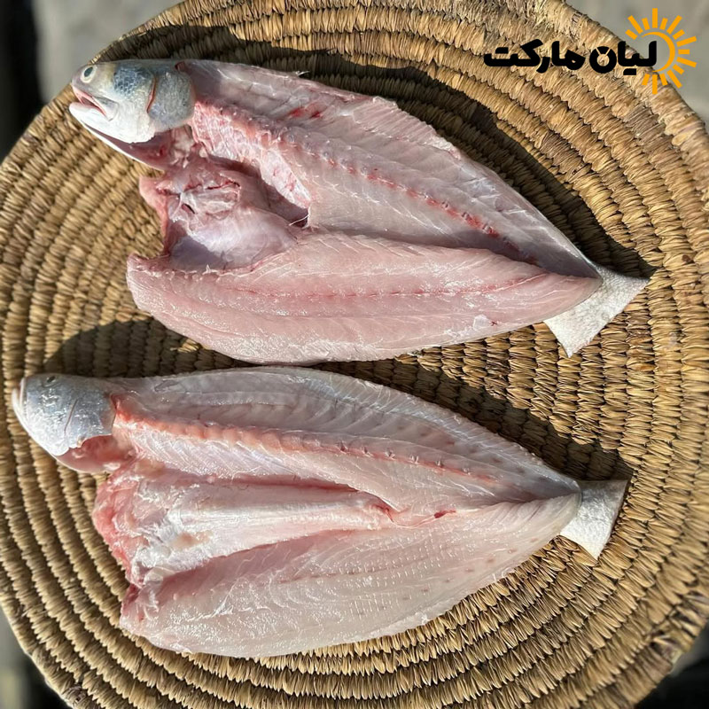 عکس ماهی راشگو باز شده – نمای داخلی برای بررسی کیفیت گوشت
