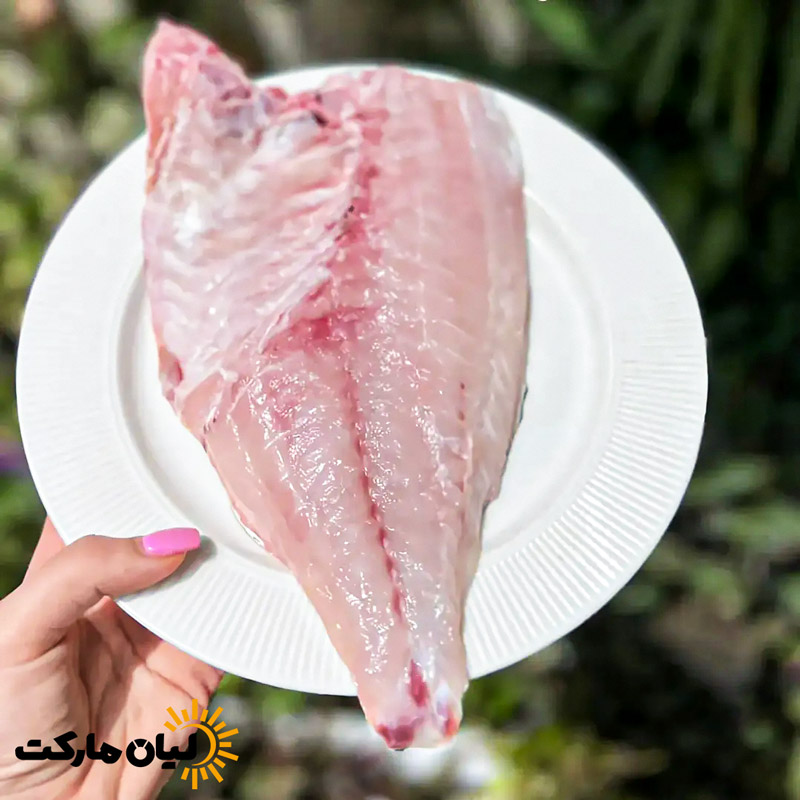 گوشت تازه ماهی شعری با رنگ صورتی طبیعی در نمای کلوزآپ داخل ظرف