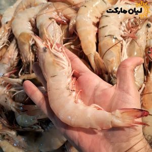 میگو دریایی تازه بوشهر سایز ۱۰-۱۵ – نمایش سایز واقعی